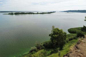 Панорама Днепра, Ржищев